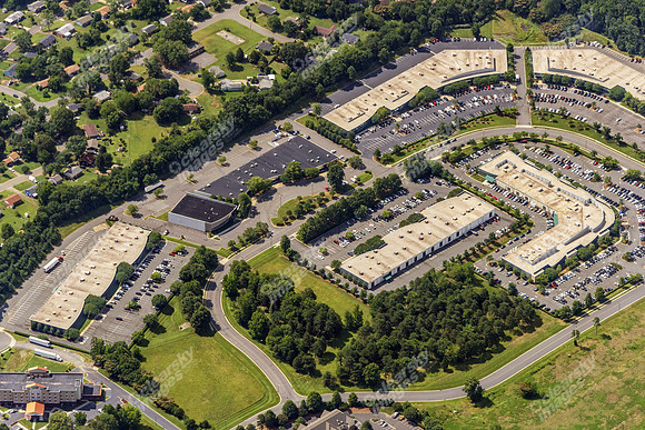 forest-park-air-4791