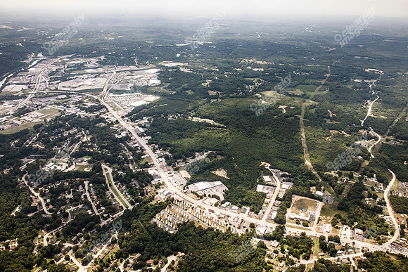 piney-forest-0714-358