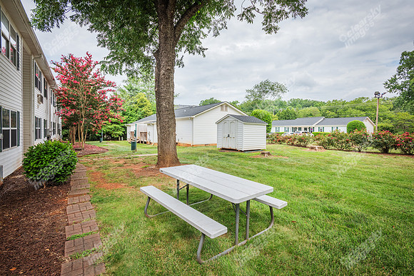 1925-pine-bough-ext1405