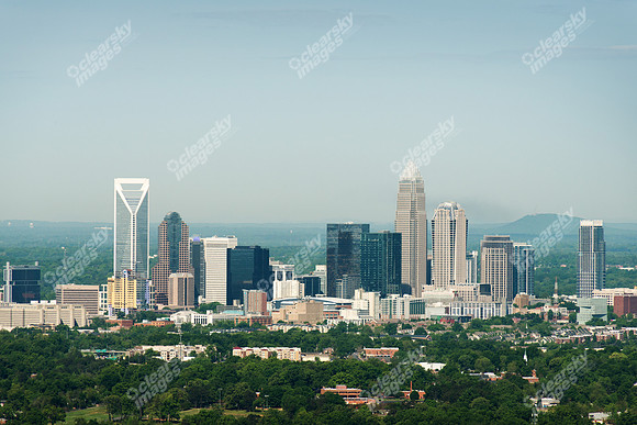 charlotte-cbd-h-0650
