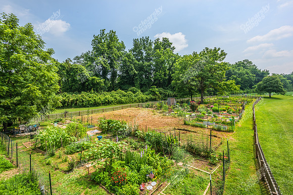1906-river-ridge-ext6203