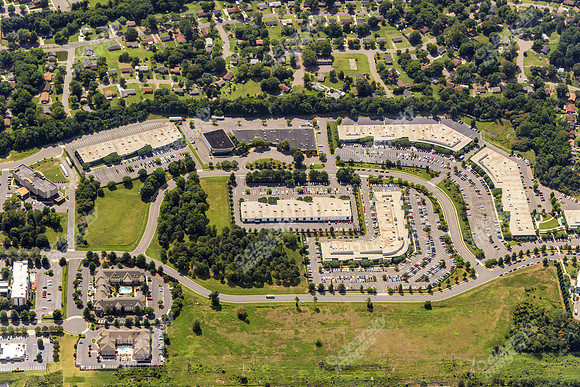 forest-park-air-4797