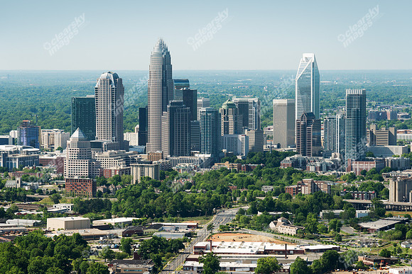 charlotte-cbd-h-0699