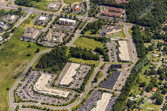 forest-park-air-4755