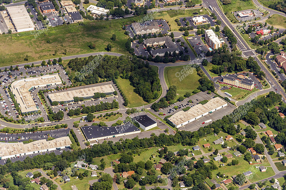 forest-park-air-4765