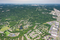 8061-woodscape-air3870