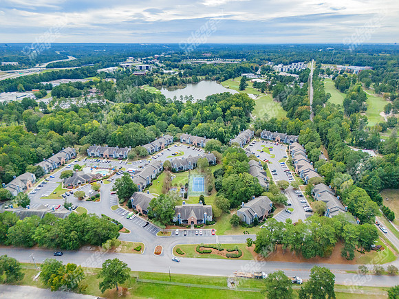 350-powell-drn28788