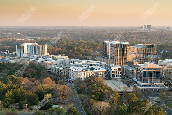 dartmouth-twi-3075