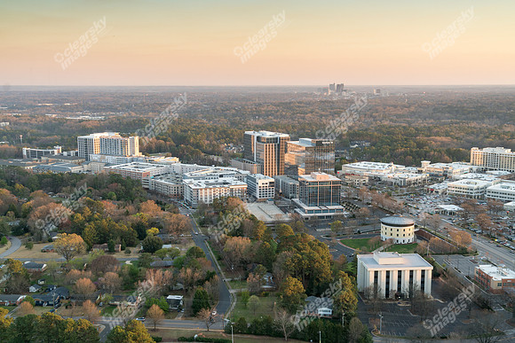 dartmouth-twi-3113