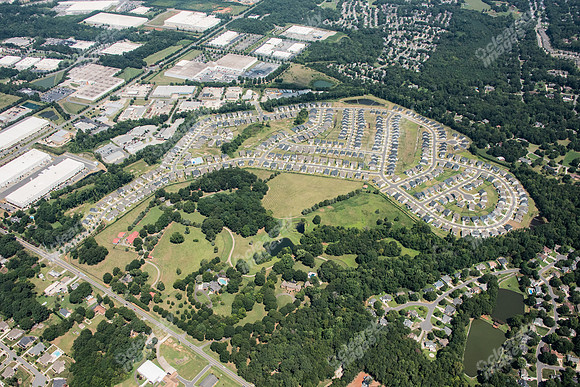 hunton-forest-july-2023-prog7067