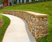 red-ventrures-extra-446