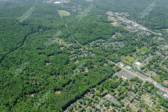 woods-edge-air-3176