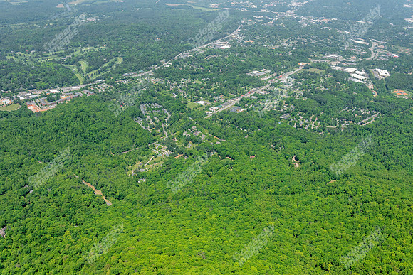 woods-edge-air-3189