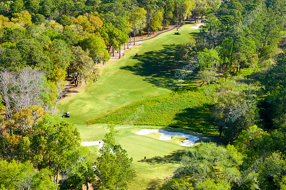 haig-point-golf-258