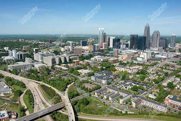charlotte-cbd-h-0748