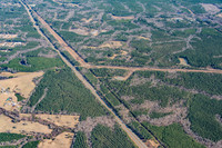 gunter-and-shearon-air0448