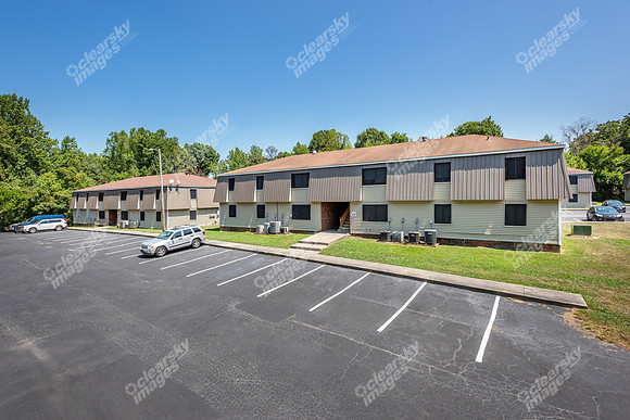 201-dorothy-ext9465
