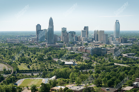 charlotte-cbd-h-0714
