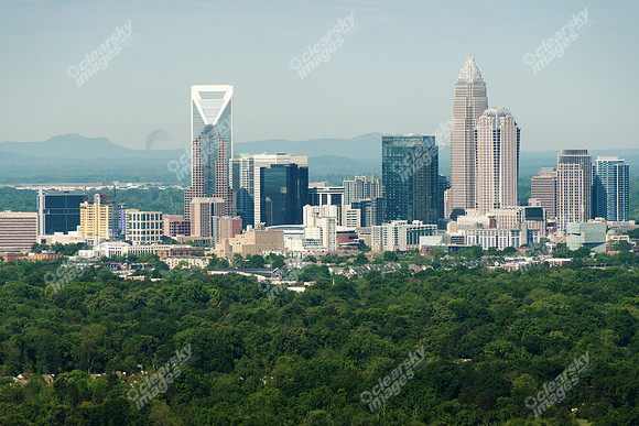 charlotte-cbd-h-0657