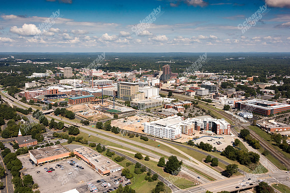 504-pettigrew-7972