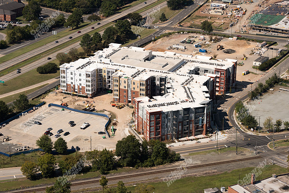 504-pettigrew-7987