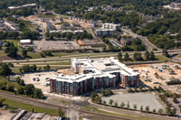 504-pettigrew-7994