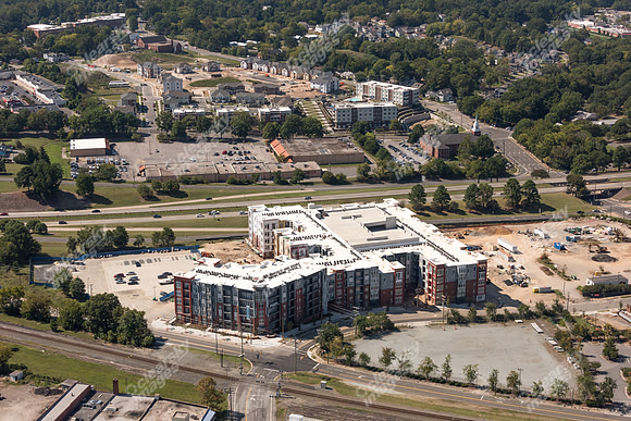 504-pettigrew-7994