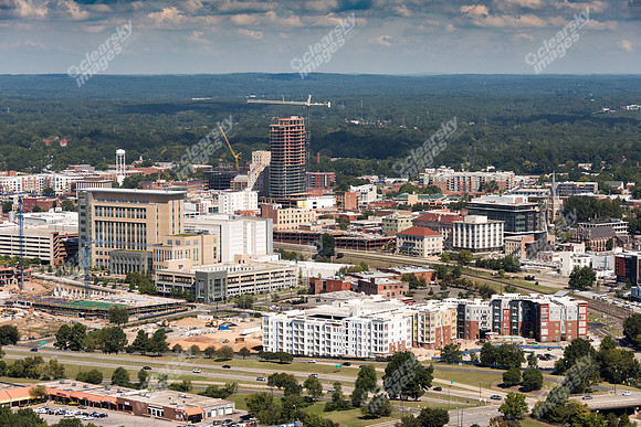 504-pettigrew-8023