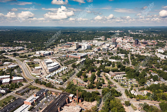 504-pettigrew-8041
