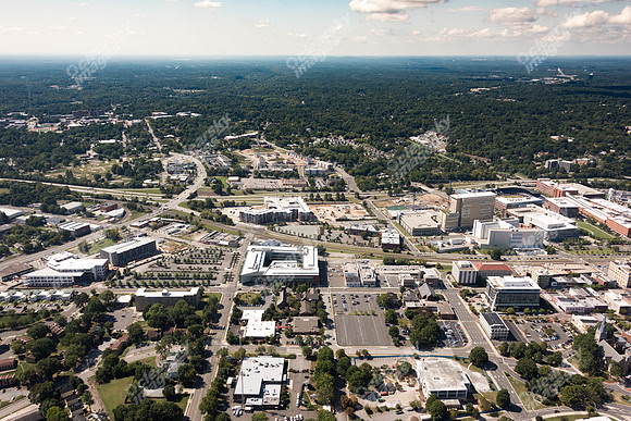504-pettigrew-8043