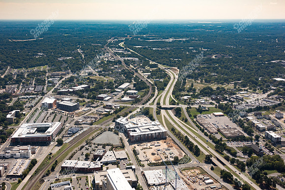 504-pettigrew-8050