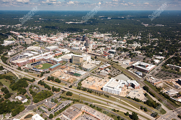 504-pettigrew-8065
