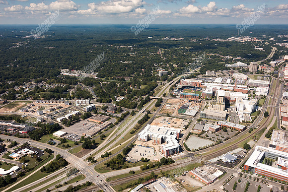 504-pettigrew-8077