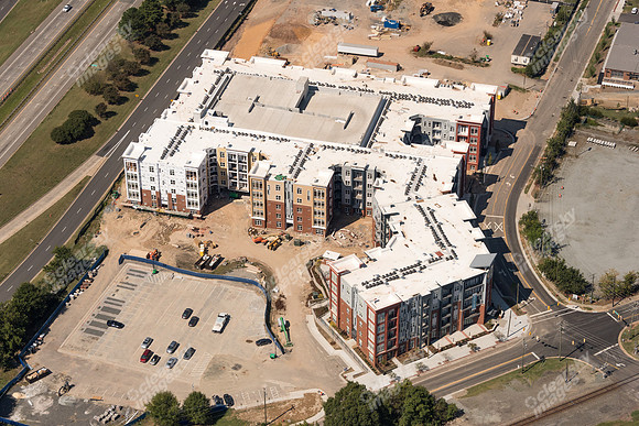 504-pettigrew-8103
