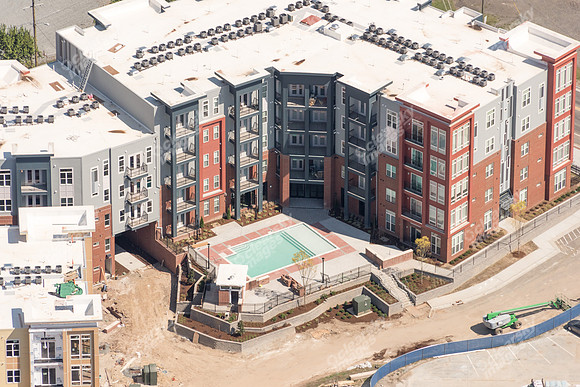 504-pettigrew-8113