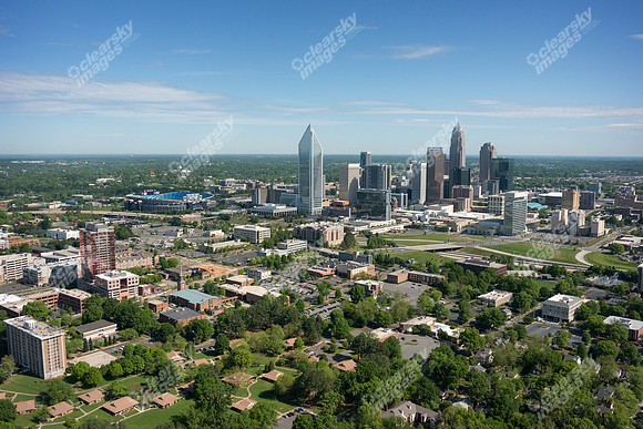 charlotte-cbd-h-0724