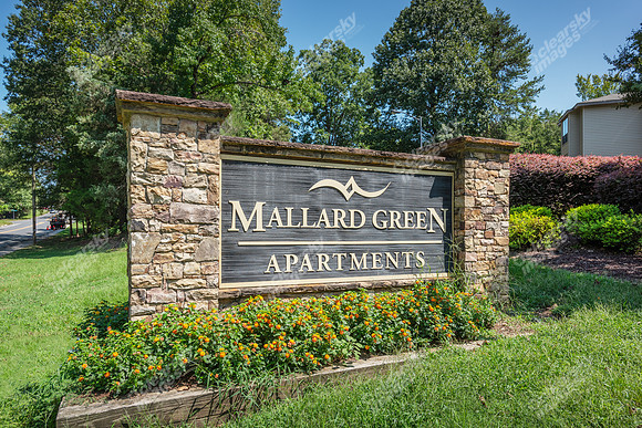 9800-mary-alexander-ext5283