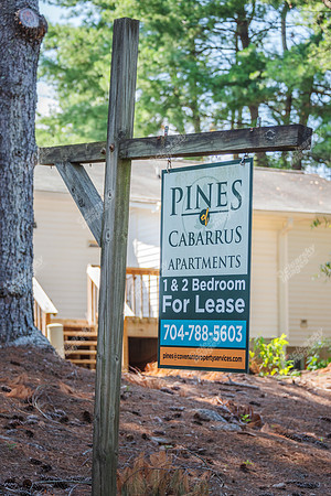 1925-pine-bough-ext5174