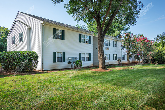 1925-pine-bough-ext6266
