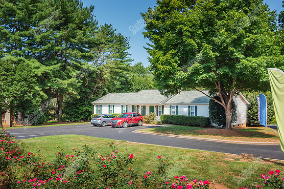 1925-pine-bough-ext6275