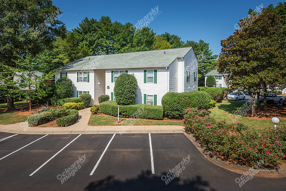 1925-pine-bough-ext6383
