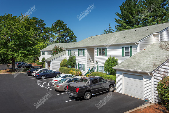 1925-pine-bough-ext6416