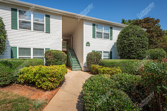 1925-pine-bough-ext6398