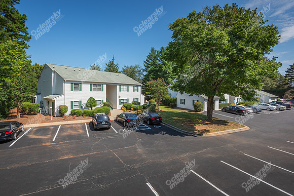 1925-pine-bough-ext6464