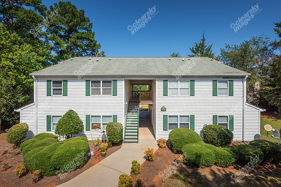 1925-pine-bough-ext6434