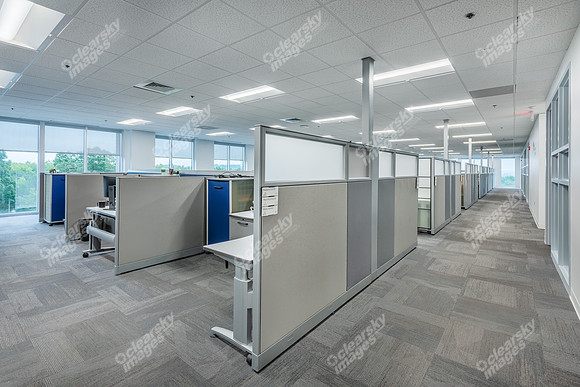 10715-david-taylor-int7003
