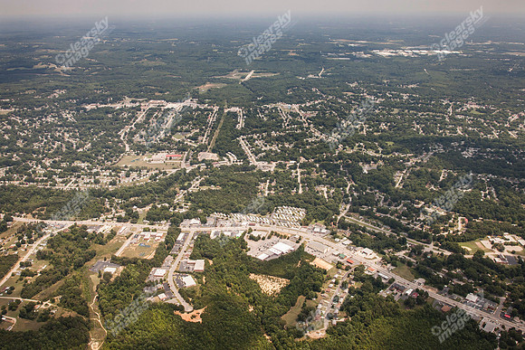 piney-forest-0714-348