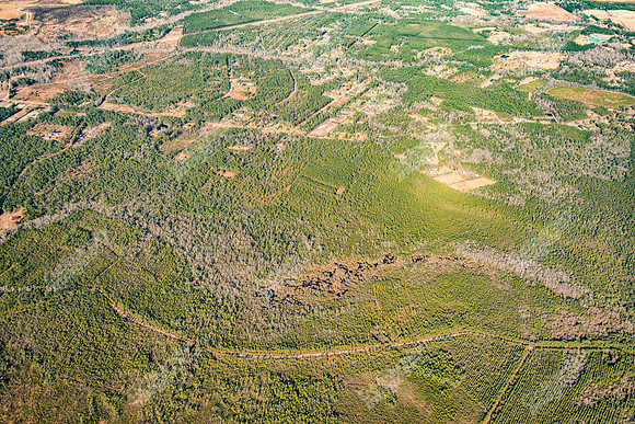 160-great-oak-air-7587