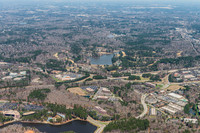 regency-forest-air-0341