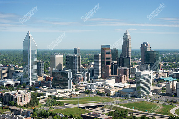 charlotte-cbd-h-0726